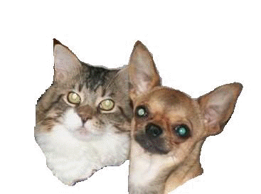 Návštěvn  kniha / Guestbook